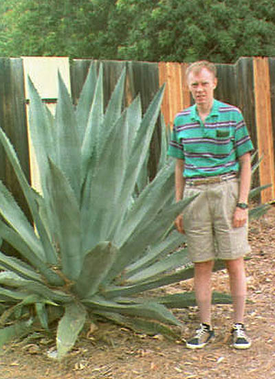 Agave Plant